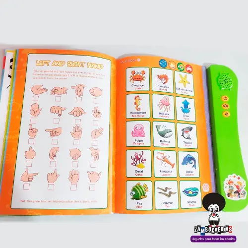 libro_educativo_ingles